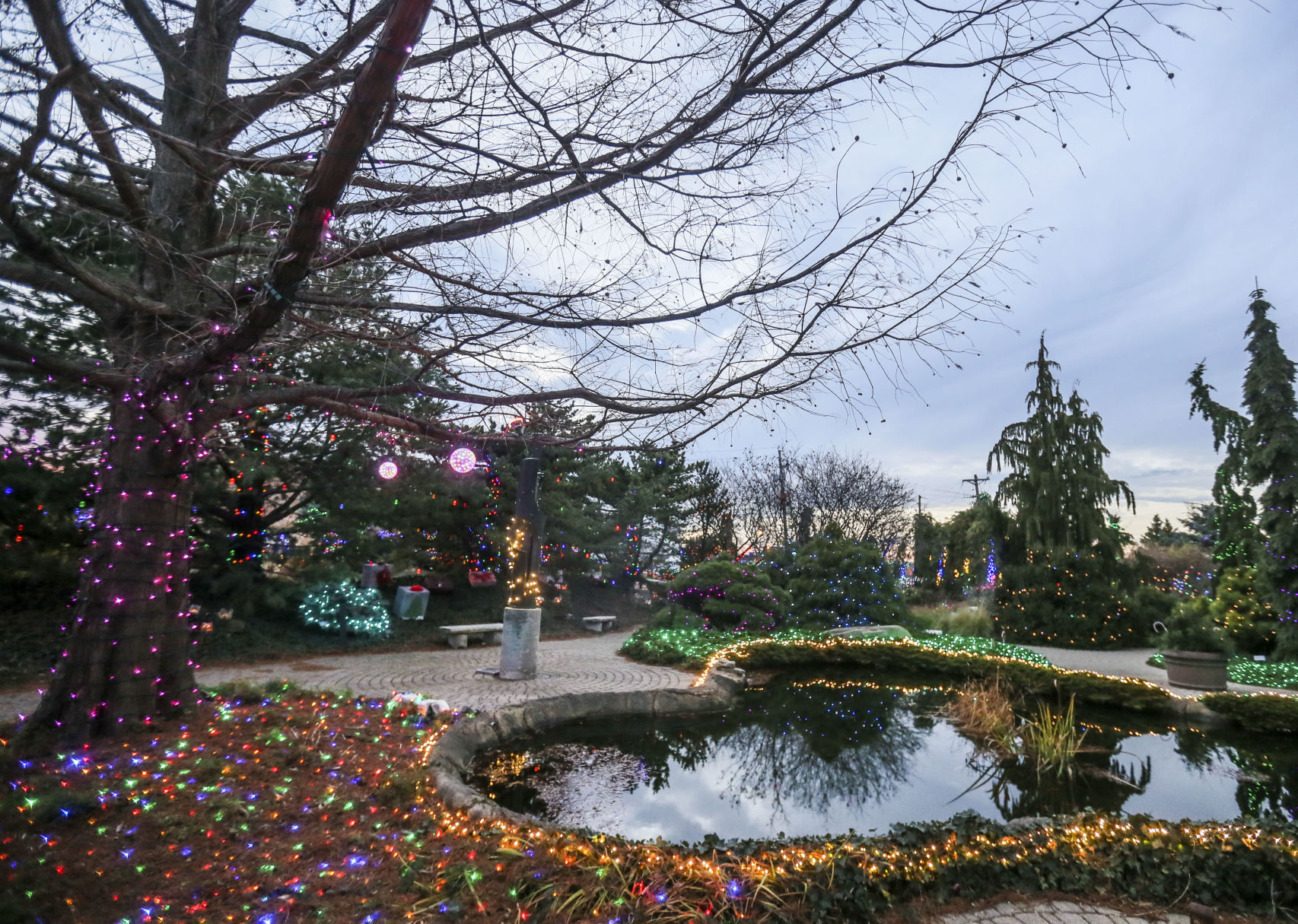 112120-qc-nws-lights-10.JPG